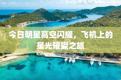 今日明星高空闪耀，飞机上的星光璀璨之旅