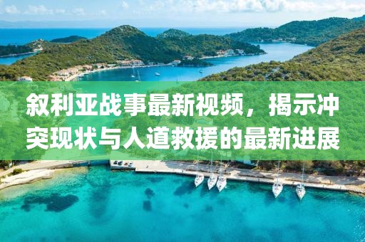 叙利亚战事最新视频，揭示冲突现状与人道救援的最新进展