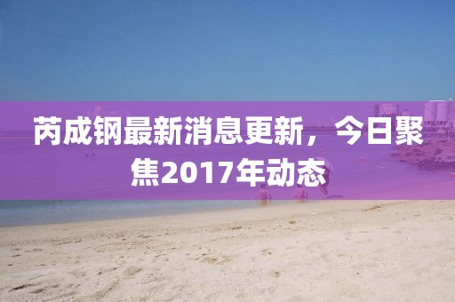 芮成钢最新消息更新，今日聚焦2017年动态