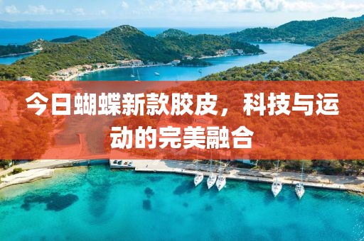 今日蝴蝶新款胶皮，科技与运动的完美融合
