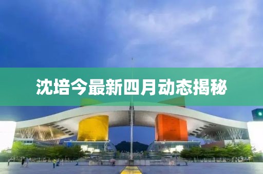 沈培今最新四月动态揭秘