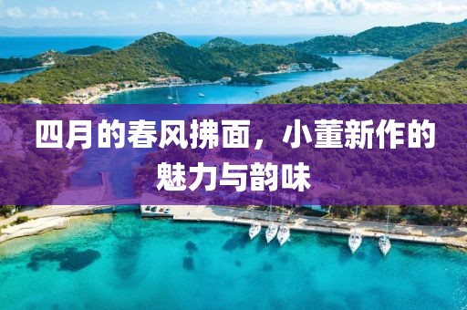 四月的春风拂面，小董新作的魅力与韵味