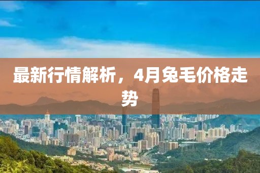 最新行情解析，4月兔毛价格走势