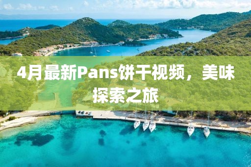 4月最新Pans饼干视频，美味探索之旅