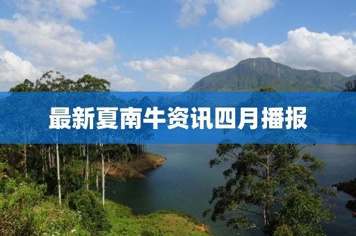 最新夏南牛资讯四月播报