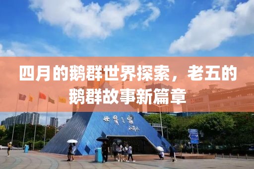 四月的鹅群世界探索，老五的鹅群故事新篇章