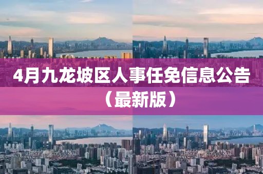 4月九龙坡区人事任免信息公告（最新版）