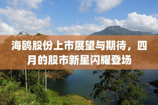 海鸥股份上市展望与期待，四月的股市新星闪耀登场