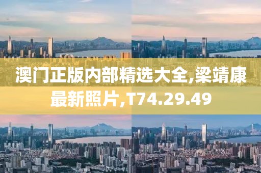 澳门正版内部精选大全,梁靖康最新照片,T74.29.49