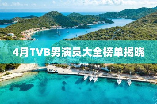 4月TVB男演员大全榜单揭晓