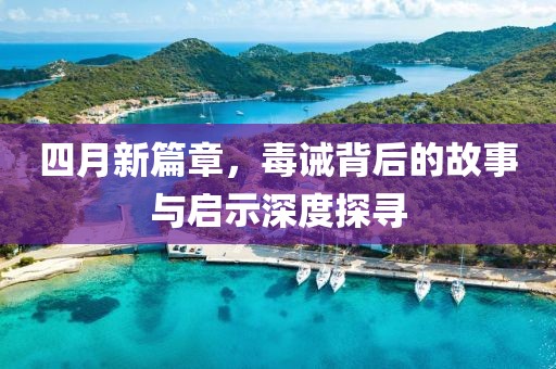 四月新篇章，毒诫背后的故事与启示深度探寻