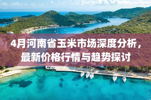 4月河南省玉米市场深度分析，最新价格行情与趋势探讨