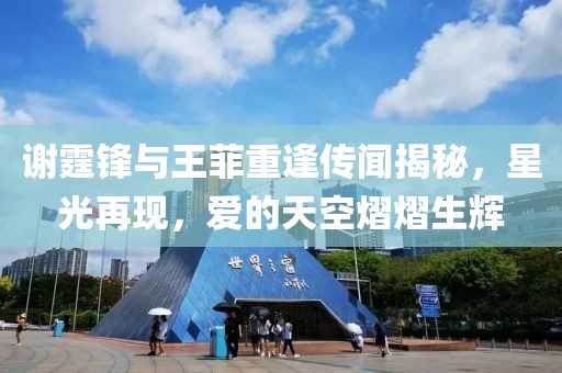 谢霆锋与王菲重逢传闻揭秘，星光再现，爱的天空熠熠生辉