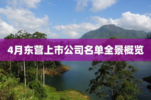 4月东营上市公司名单全景概览