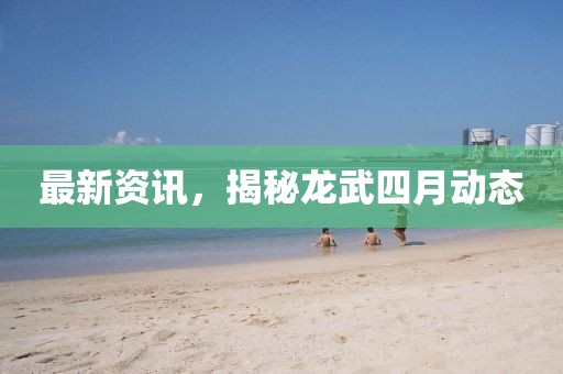 最新资讯，揭秘龙武四月动态