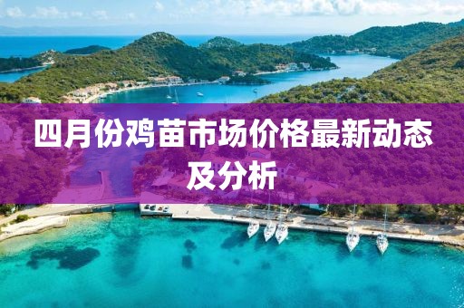 四月份鸡苗市场价格最新动态及分析