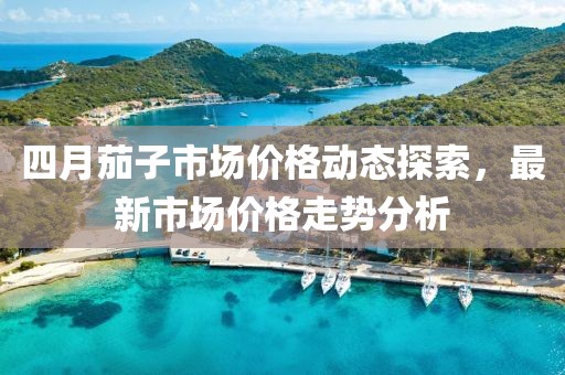 四月茄子市场价格动态探索，最新市场价格走势分析