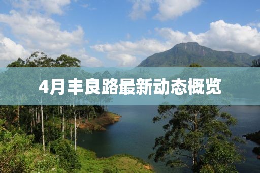 4月丰良路最新动态概览