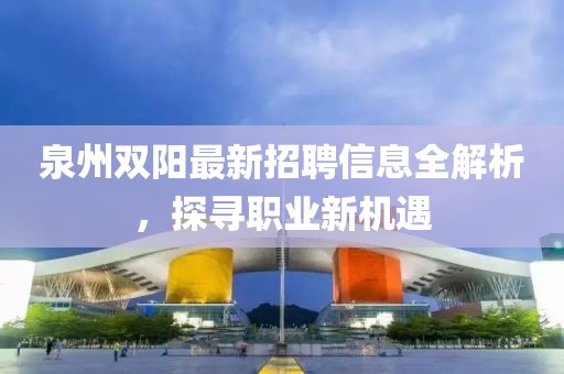 泉州双阳最新招聘信息全解析，探寻职业新机遇
