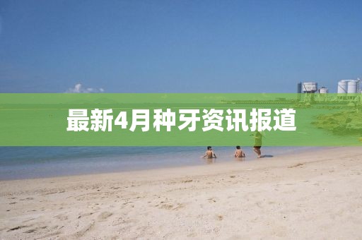 2025年4月27日 第8页