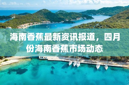 海南香蕉最新资讯报道，四月份海南香蕉市场动态