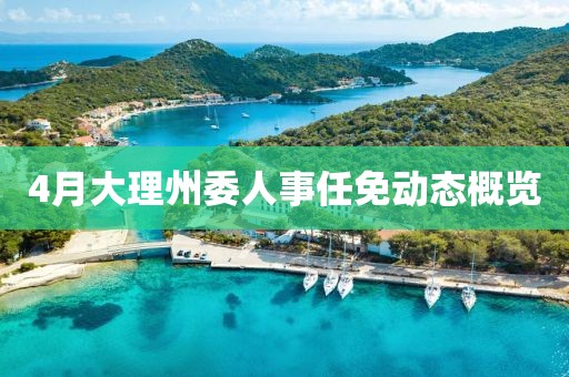 4月大理州委人事任免动态概览