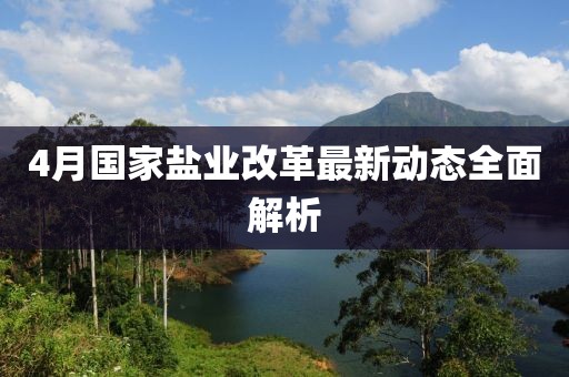 4月国家盐业改革最新动态全面解析