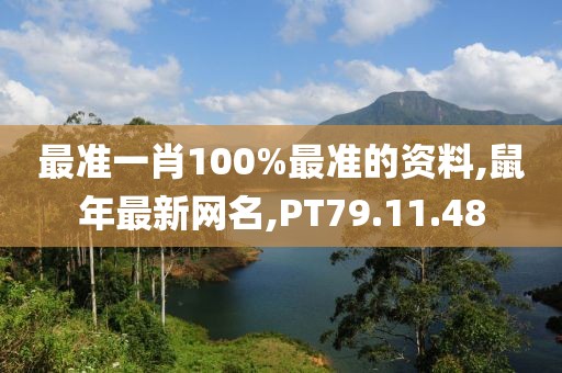 最准一肖100%最准的资料,鼠年最新网名,PT79.11.48
