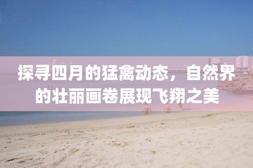 探寻四月的猛禽动态，自然界的壮丽画卷展现飞翔之美