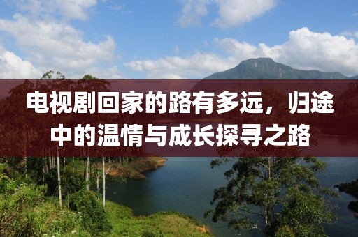 电视剧回家的路有多远，归途中的温情与成长探寻之路