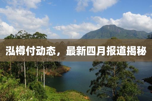 泓樽付动态，最新四月报道揭秘