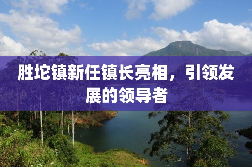 胜坨镇新任镇长亮相，引领发展的领导者
