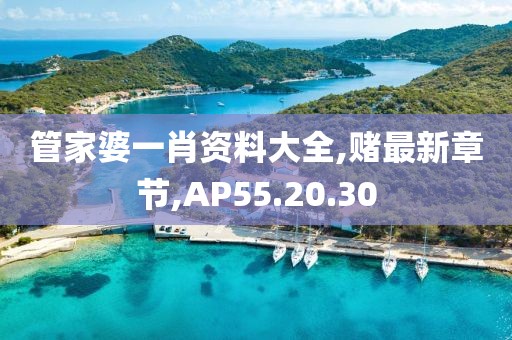 管家婆一肖资料大全,赌最新章节,AP55.20.30