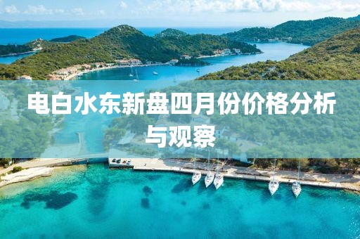 电白水东新盘四月份价格分析与观察