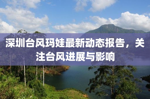 深圳台风玛娃最新动态报告，关注台风进展与影响