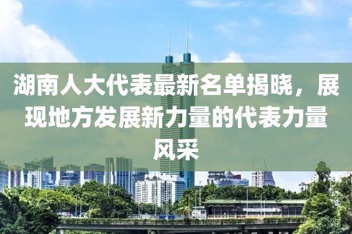 湖南人大代表最新名单揭晓，展现地方发展新力量的代表力量风采