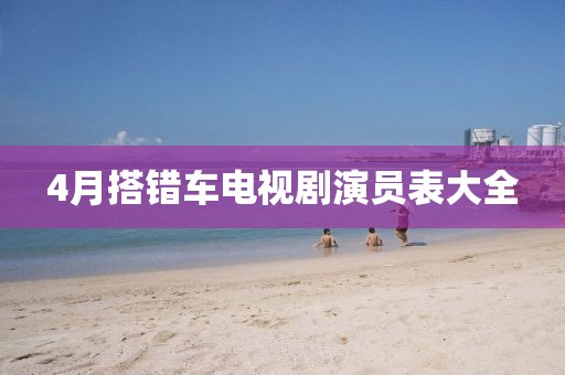 4月搭错车电视剧演员表大全