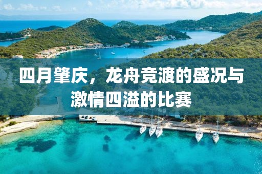 四月肇庆，龙舟竞渡的盛况与激情四溢的比赛