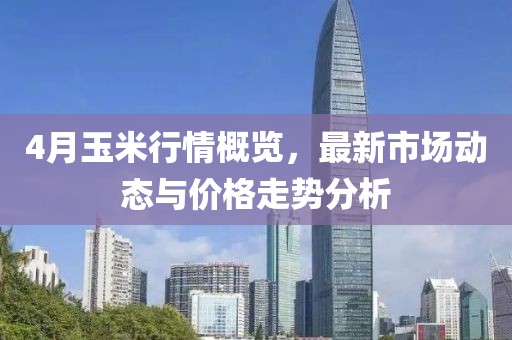 4月玉米行情概览，最新市场动态与价格走势分析