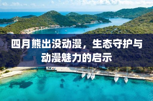 四月熊出没动漫，生态守护与动漫魅力的启示