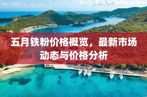 五月铁粉价格概览，最新市场动态与价格分析