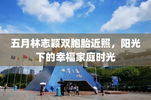 五月林志颖双胞胎近照，阳光下的幸福家庭时光