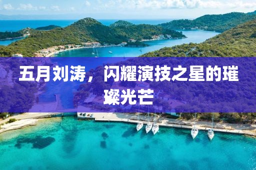 五月刘涛，闪耀演技之星的璀璨光芒