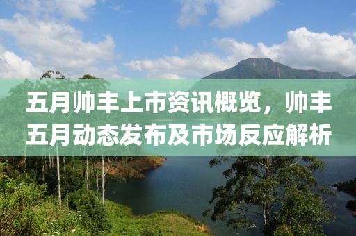 五月帅丰上市资讯概览，帅丰五月动态发布及市场反应解析