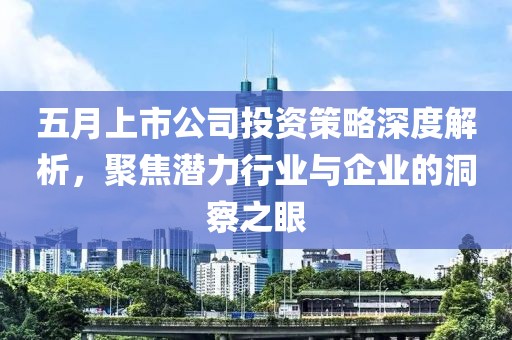 五月上市公司投资策略深度解析，聚焦潜力行业与企业的洞察之眼