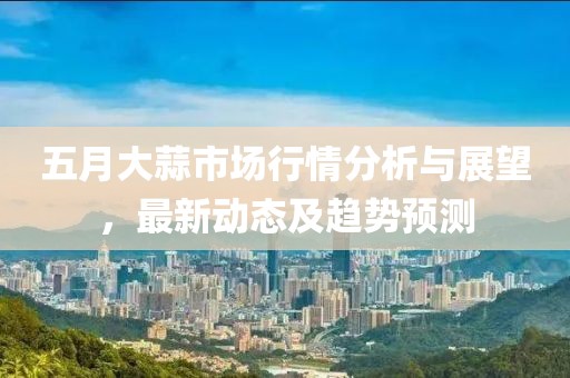 2025年5月12日 第8页
