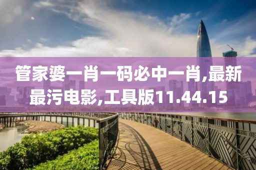 管家婆一肖一码必中一肖,最新最污电影,工具版11.44.15