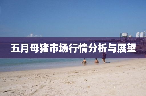 五月母猪市场行情分析与展望