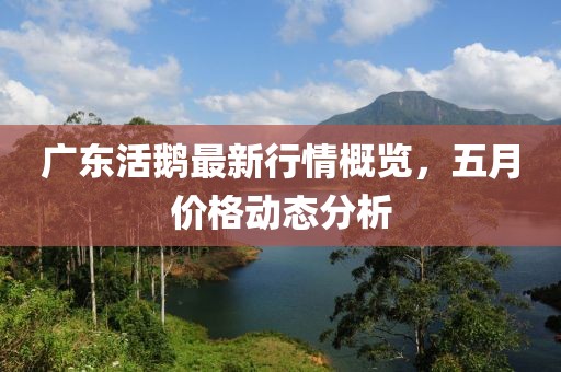 广东活鹅最新行情概览，五月价格动态分析