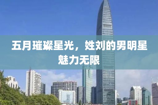 五月璀璨星光，姓刘的男明星魅力无限